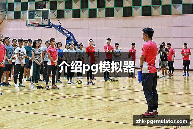 介绍pg模拟器